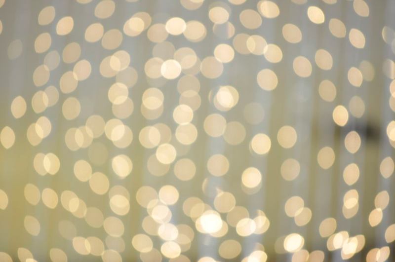 Illustration for article titled Shooting Challenge: Bokeh, Gallery 5